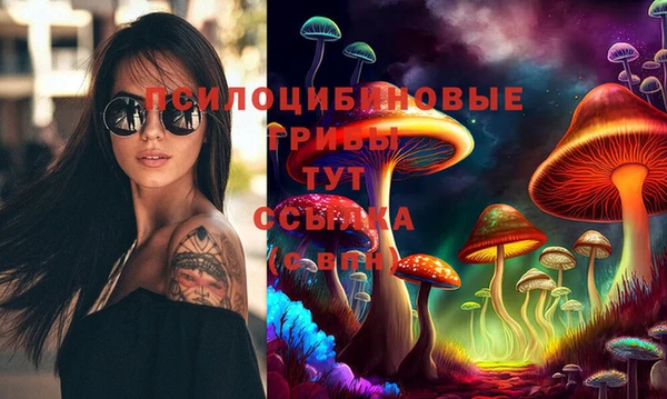 дурь Абаза