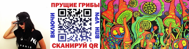 darknet Telegram  купить наркотик  Сусуман  Галлюциногенные грибы Cubensis 